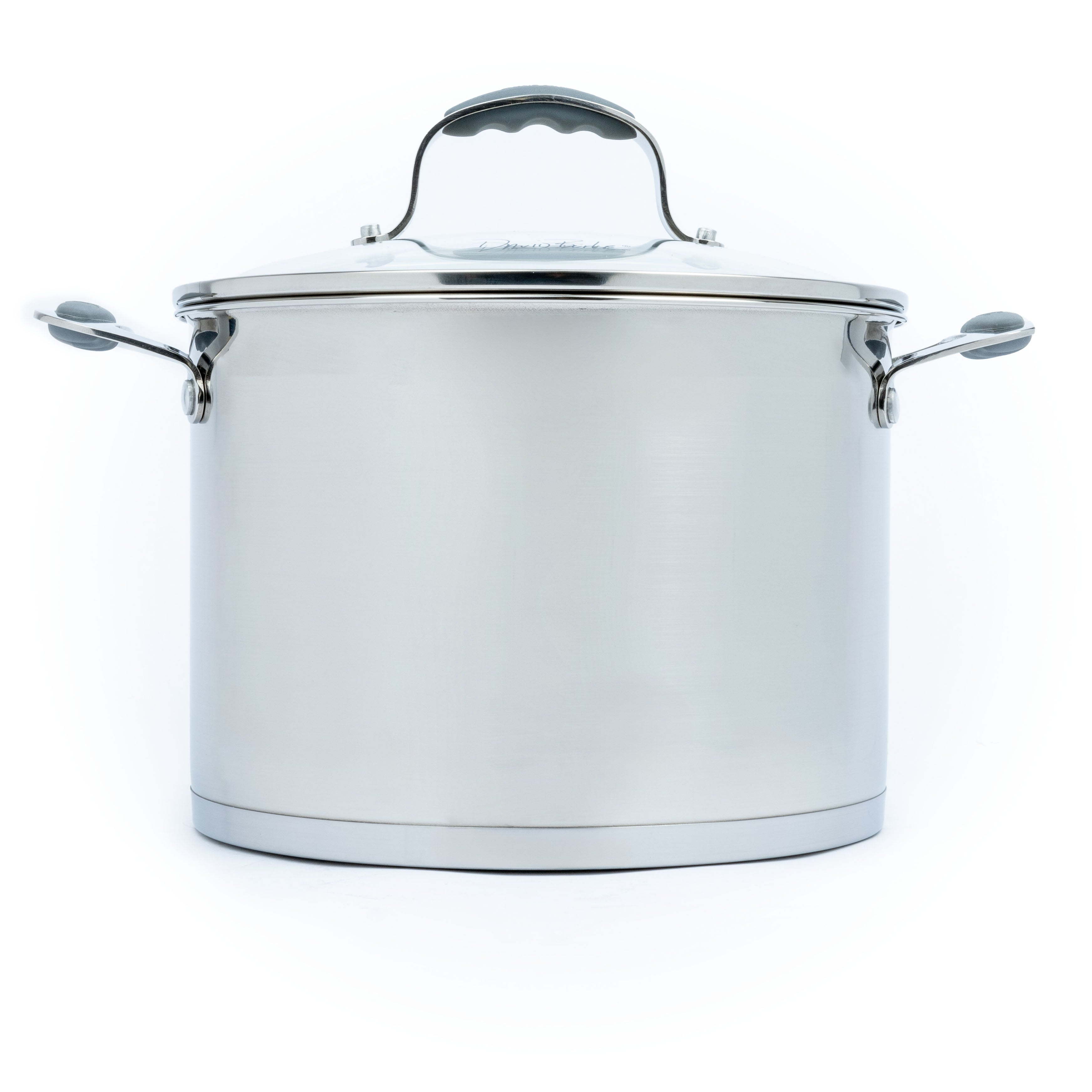 David Burke Stature 10 qt. Stock Pot with Lid
